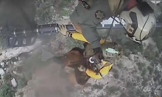 Movie-like rescue of an injured dog unable to walk on its own