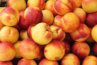 The EU issues a serious food alert due to high levels of insecticide in nectarines from Spain