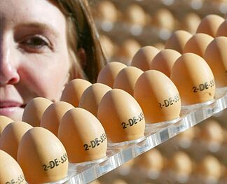 The Coca-Cola secret of pasteurized Spanish eggs inside their shell