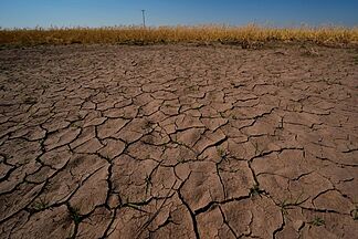 El Nino is here and scientists fear it'll be big, bad and costly with heat, floods, droughts, fires