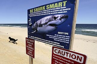 Shark kills swimmer off Western Australian city beach