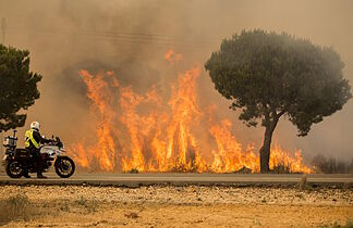 The paradox of extinction: why it is dangerous to put out all fires