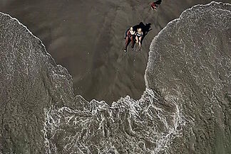 A highly undiversified economy: why beautiful Venezuela is the country where tourism contributes the least to the GDP