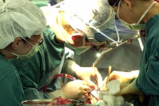 An Italian man survives two days at home with an arrow lodged in his head